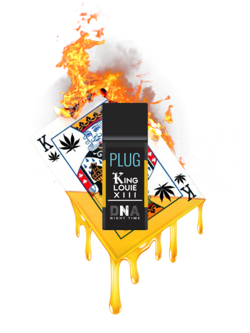 Plug and Play cartridge - Image 4