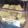 Gelato 25 Strain