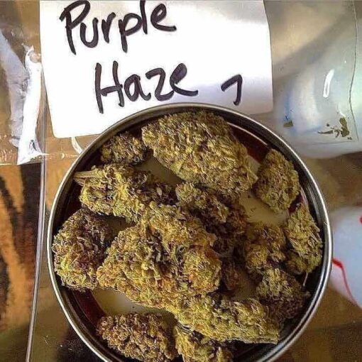 Purple Haze