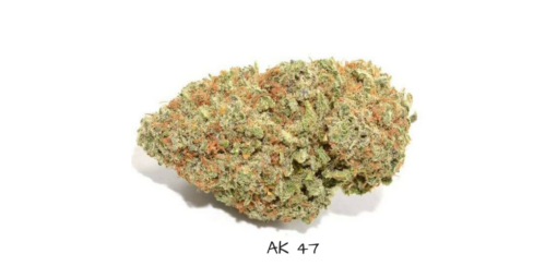 AK-47
