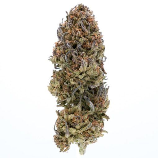 Blackberry Kush