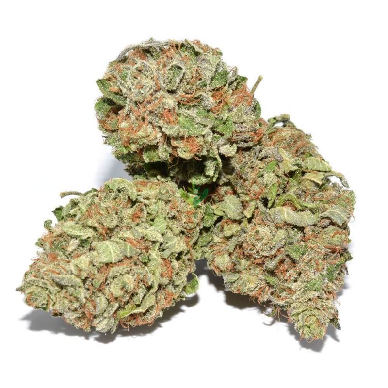 Florida’s Best Online Cannabis Shops for Medical Marijuana Buyers – A Complete Guide