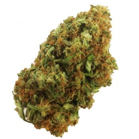 How to Find the Best 420 Weed Deals Online in Denver, Colorado