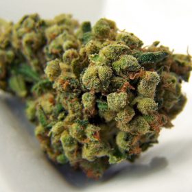 The Ultimate Guide to Purchasing Recreational & Medical Marijuana in California Online