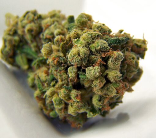 The Ultimate Guide to Purchasing Recreational & Medical Marijuana in California Online