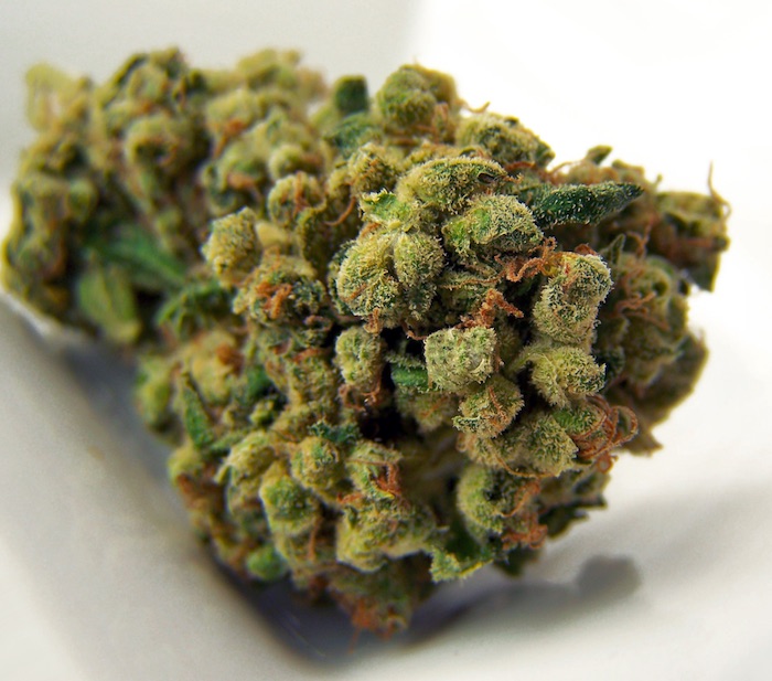 The Ultimate Guide to Purchasing Recreational & Medical Marijuana in California Online